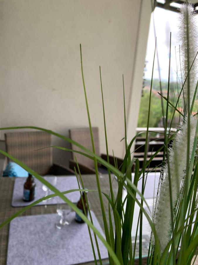 Apartament Harz 21 Braunlage Zewnętrze zdjęcie
